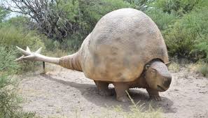 Descubren Cueva de Gliptodonte Extinto en&nbsp;Salta