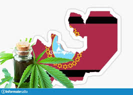 Salta tendrá un registro de Cannabis&nbsp;Medicinal