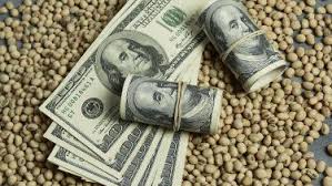 Agrodólares: estiman que el 80% de la soja que se produce en la Argentina se exporta