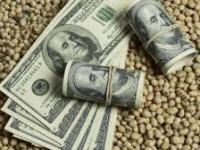 Caputo anticipó una cosecha récord para el campo: cuántos dólares podría aportar en&nbsp;2026