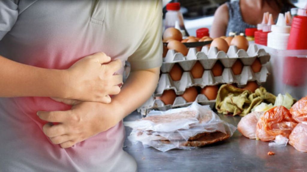 Se registraron casi 400 casos de Salmonella en Salta