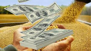 Ante el dólar bajo, el Campo le pide al Gobierno la prorroga de las retenciones del&nbsp;26%