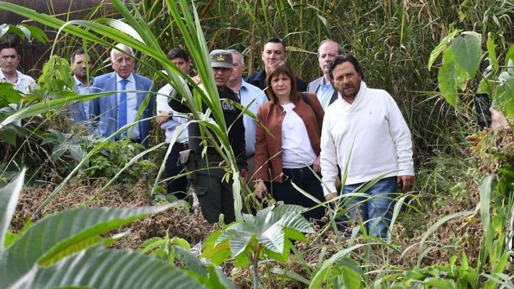 Patricia Bullrich respaldó la instalación de una cerca en la frontera de Salta y&nbsp;Bolivia
