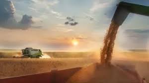 El campo liquidó exportaciones en mayo e ingresaron 3 mil millones de&nbsp;dólares