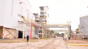 El plan de la agropecuaria de los Pérez Companc para atravesar la crisis que ya impactó a otros gigantes del&nbsp;sector