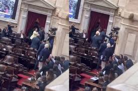 Escándalo en el Congreso: dos diputados se enfrentaron a las piñas por la investigación de&nbsp;$LIBRA