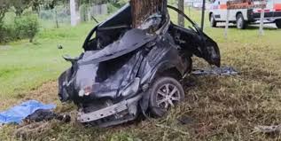 Ruta a Lesser: automovilista chocó contra un árbol y perdió la&nbsp;vida