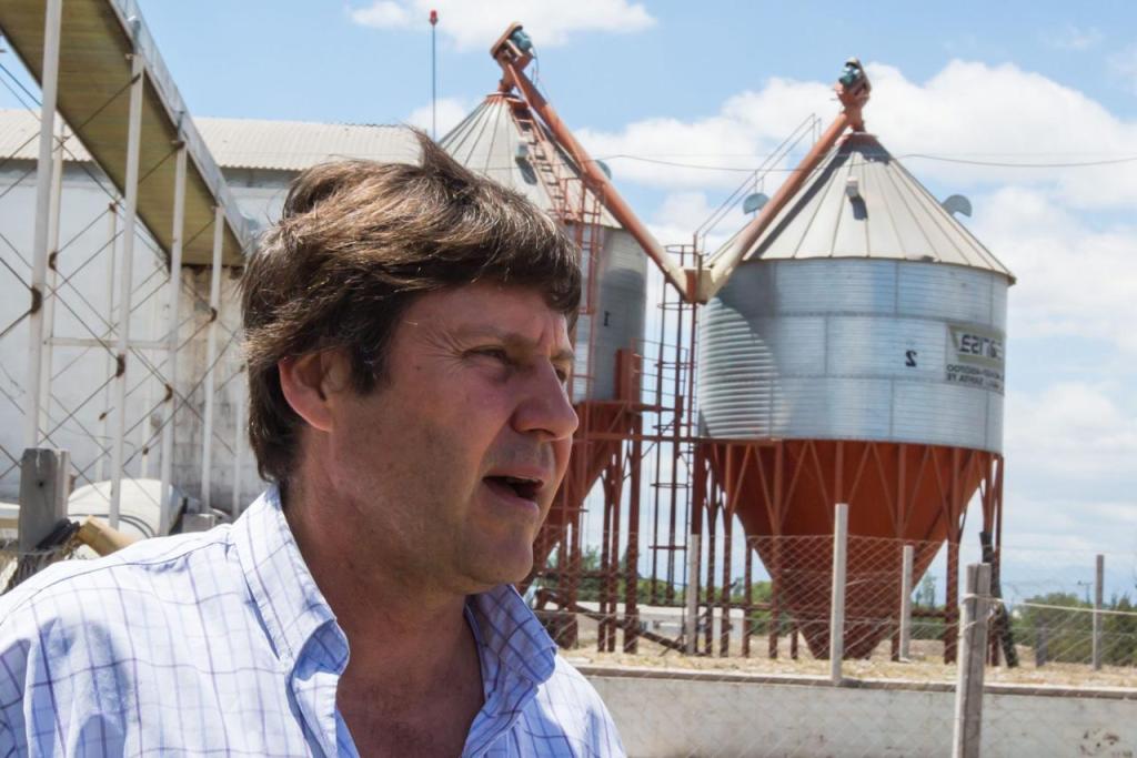 Afirman que el aumento del precio de los huevos “es parte del ciclo anual”