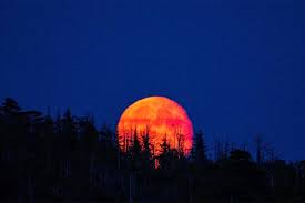 La “Luna de Sangre” iluminará el cielo: a qué hora ver el eclipse total en&nbsp;Argentina