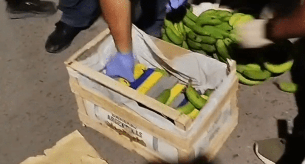 Camión llevaba cocaína en medio de bananas oranenses: así los agarraron en Ruta&nbsp;34