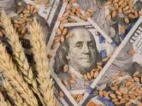 Productores deberán pagar por la patente de las semillas: Milei anunció medida clave y celebran&nbsp;empresas