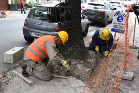 Plan Mi Vereda: más mil metros lineales se arreglaron hasta&nbsp;ahora