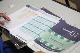 Pruebas Aprender: el 55% de los chicos de tercer grado no alcanzó el nivel de lectura esperable para su&nbsp;edad