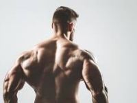 Creatina, más allá del gimnasio: mitos, hallazgos y advertencias sobre su impacto en el&nbsp;cerebro