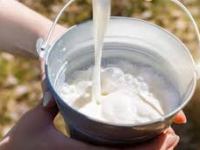 Repunte histórico: la producción de leche alcanzó en 2025 su mayor volumen en una&nbsp;década
