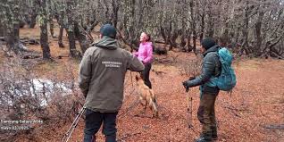 Tras dos días desaparecidas en la montaña, encontraron con vida a las dos mujeres extraviadas en El&nbsp;Bolsón