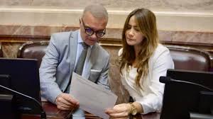 Quiénes son los dos senadores de Misiones que cambiaron de postura e hicieron caer Ficha&nbsp;Limpia
