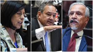 Proyecto de Ficha Limpia rechazado: así votaron los senadores&nbsp;salteños