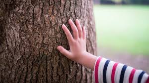 El motivo por el que tendemos a “tocar madera” para evitar la mala&nbsp;suerte