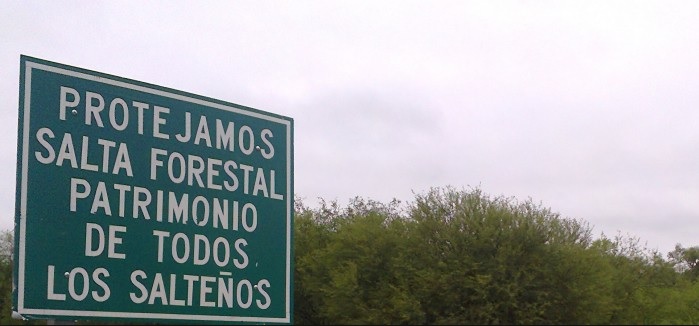 Salta Forestal recauda hasta $3.800 millones anuales por&nbsp;concesiones