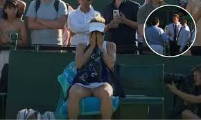 Tenso momento en Wimbledon con un espectador: “Sáquenlo, tal vez tenga un&nbsp;cuchillo”