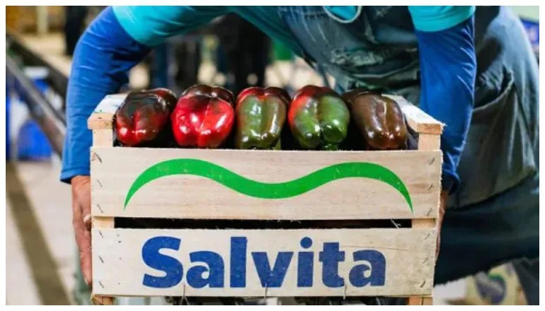 Sin inversión: por el mal estado de las rutas en el norte, Salvita apuesta al&nbsp;ferrocarril