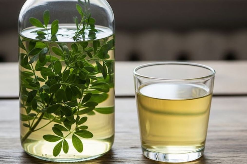 1° de agosto: ¿por qué hoy se toma caña con ruda y qué significado&nbsp;tiene?