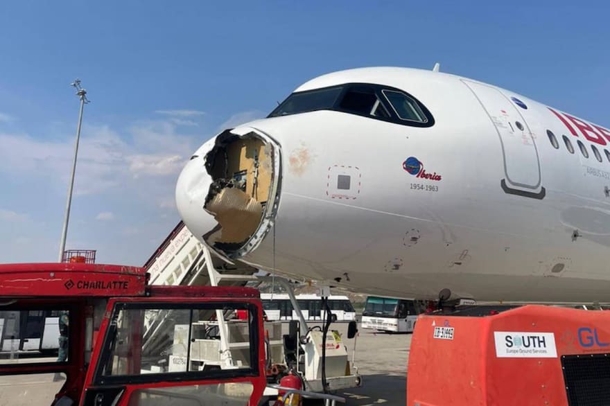 VIDEO | Un avión aterrizó de emergencia en Madrid tras impactar con un&nbsp;pájaro