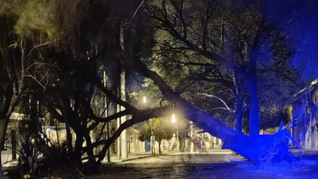 Viento Zonda en Salta: El 911 recibió más de 130&nbsp;llamadas