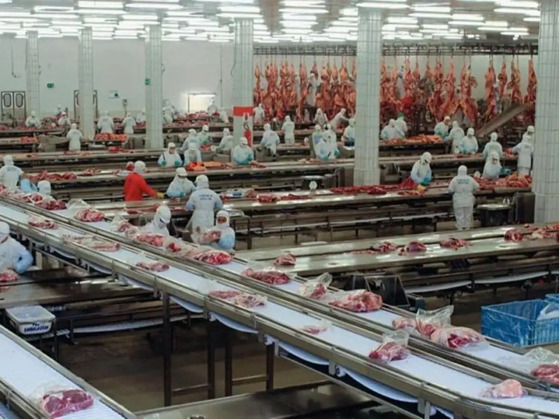 Frigorífico Pico, ahogado por deudas, suspende 450 trabajadores y explora una venta para&nbsp;sobrevivir