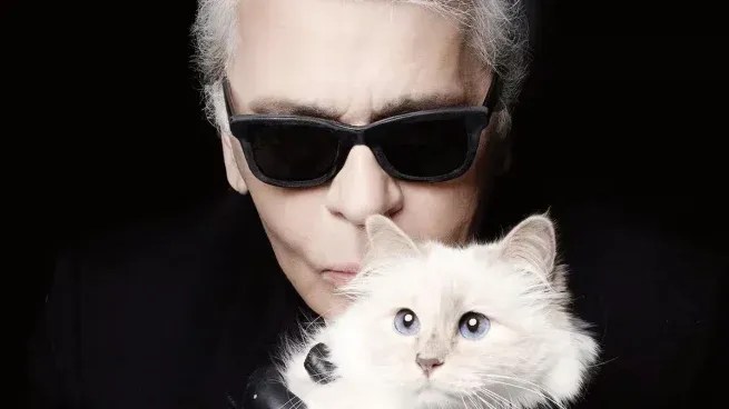 Así vive hoy la gata heredera de Karl Lagerfeld, que recibió una herencia de 300 millones