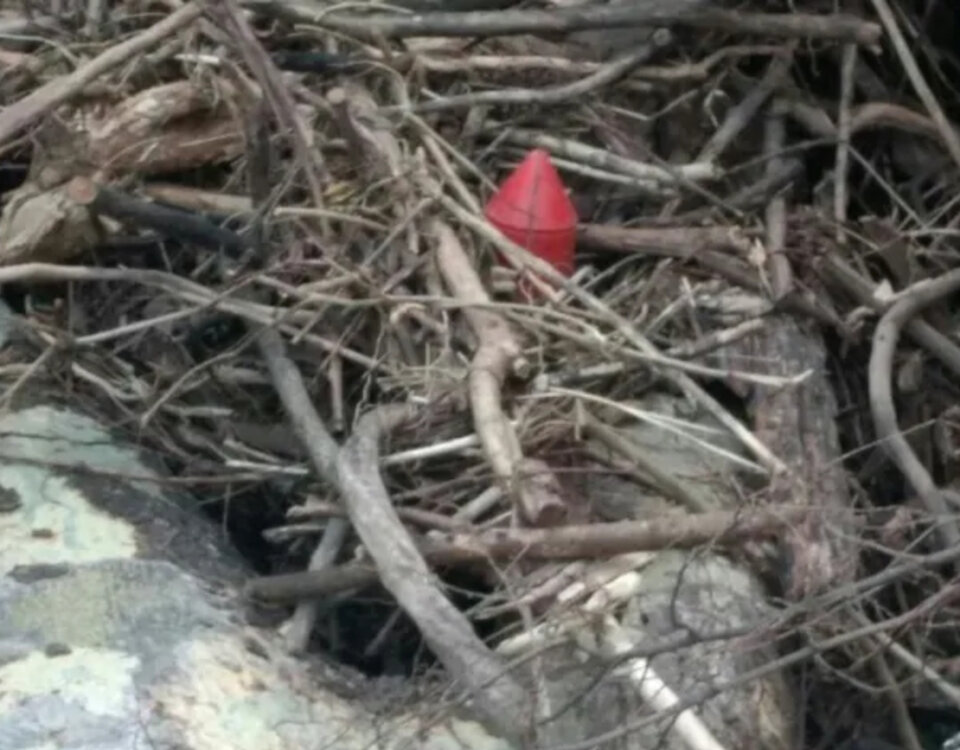 Explosivos de YPF: Se estima más de ocho millones abandonados en el norte&nbsp;salteño