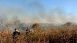 Nación ayuda a combatir los incendios que ya afectaron 1.900 hectáreas en&nbsp;Orán