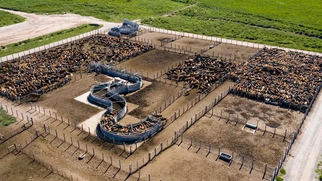 La familia Brito suma poder en el agro: Inversora Juramento compró megacampo por u$s56,4&nbsp;millones