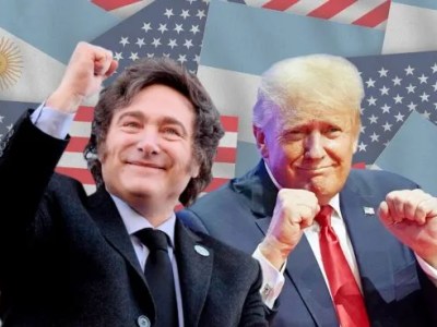 Milei participó del Consejo de la Paz de Trump y ofreció enviar los Cascos Blancos a&nbsp;Gaza