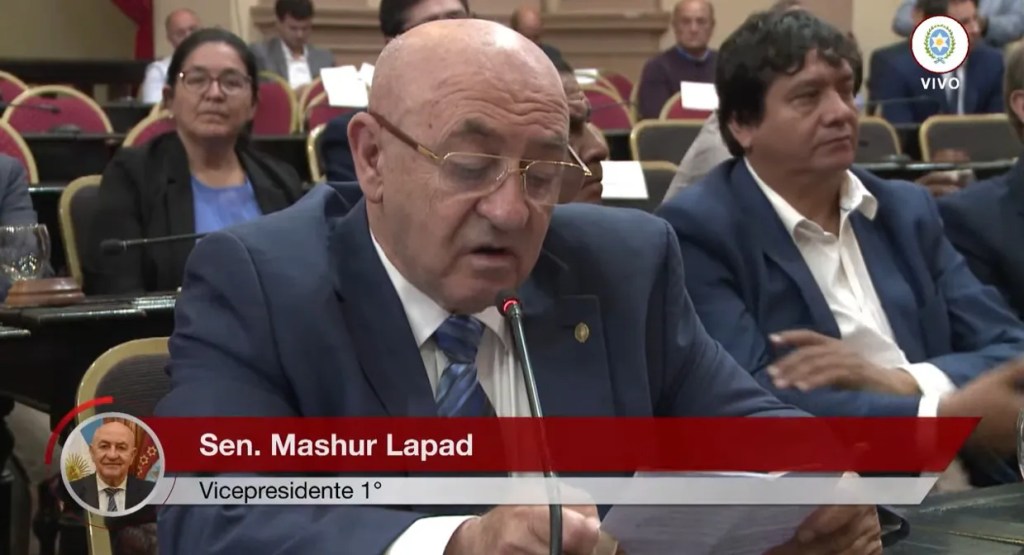 Lapad volvió a asumir la vicepresidencia del Senado y llamó a “dialogar para construir”