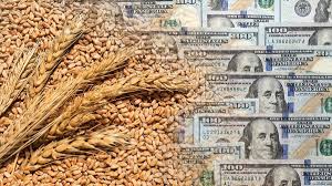 Trigo: proyectan una cosecha récord de 25,5 millones de toneladas para la campaña&nbsp;2025/26