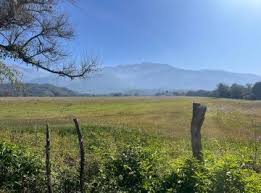 Milei quiere liberar la venta de tierras: quiénes ya compraron miles de hectáreas en Salta