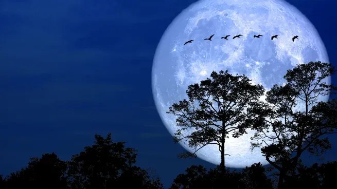 Nadie debe mirar al cielo sin saber esto: la Luna de Nieve más extrema de la historia ya tiene fecha y hora&nbsp;exacta