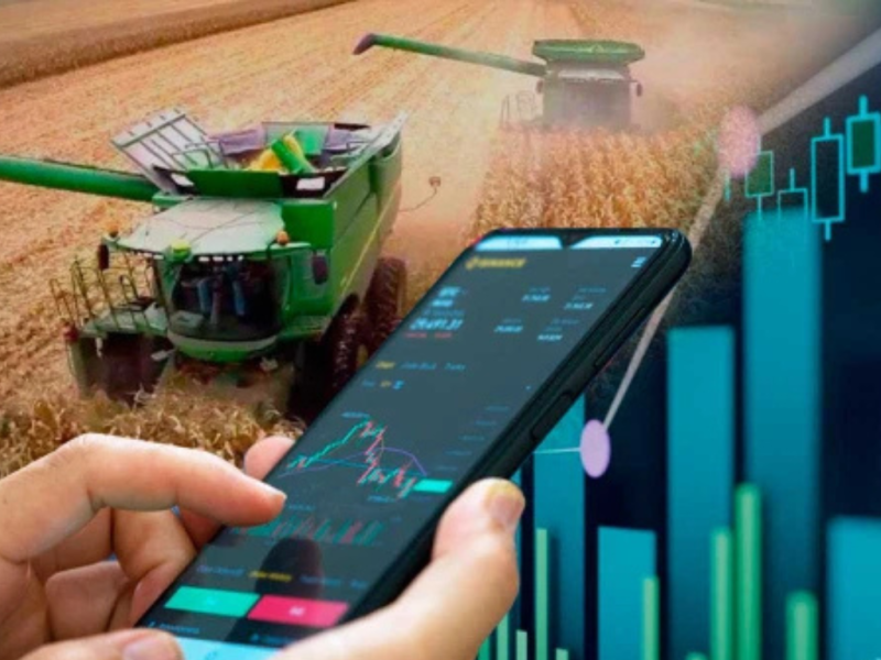 Los reyes del negocio del aceite lanzan un ambicioso plan agrícola sobre 40.000&nbsp;hectáreas