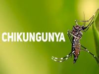 Chikungunya en Salta: advierten por más casos tras las lluvias y las&nbsp;inundaciones