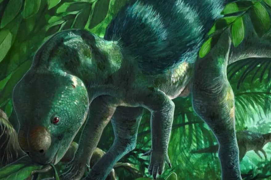 Cómo es el diminuto “dinosaurio pollo” que replantea la&nbsp;evolución
