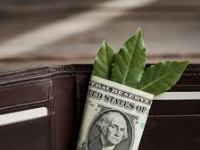 Llevar una hoja de laurel envuelta en un dólar en la billetera: para qué sirve y por qué lo&nbsp;recomiendan