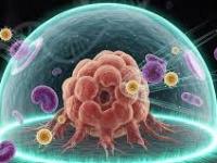 Descubren una proteína que sería clave ante el cáncer de pulmón y&nbsp;páncreas