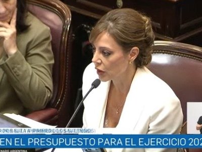 Paula Benavides justificó que el voto de Royón fue por fondos para&nbsp;Salta