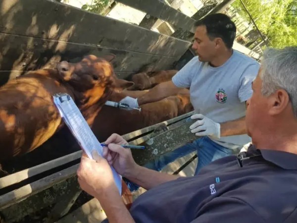 Fallo histórico: un intendente deberá devolver la plata que le cobró a productores por tasas&nbsp;municipales