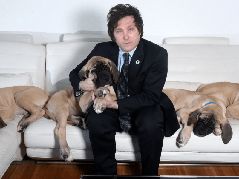Murió uno de los perros de Milei: según el presidente, peleaba “contra la&nbsp;oscuridad”
