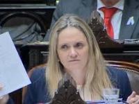 La legisladora de La Libertad Avanza, María Gabriela Flores reconoció que su hijo viaja de Salta a Buenos Aires con pasajes oficiales del&nbsp;Congreso