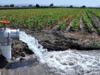 EDESA facilita acceso al IVA reducido para energía de&nbsp;riego