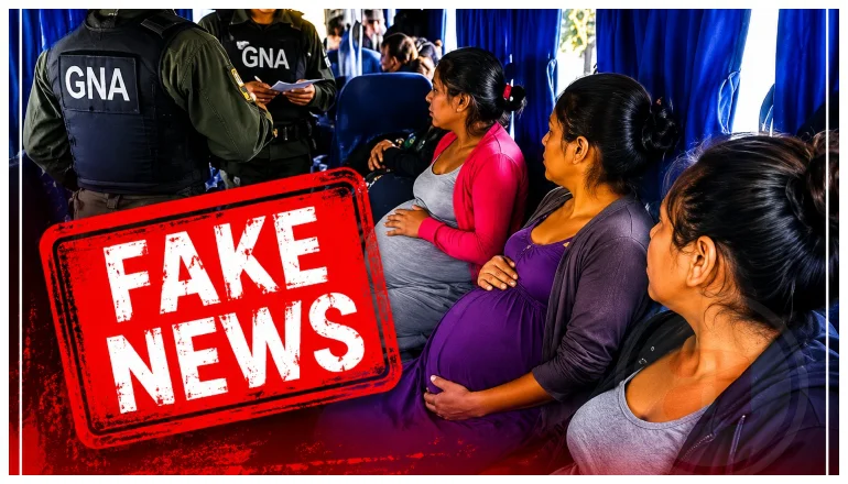 Fake news: Gendarmería desmintió supuesto colectivo con embarazadas en la frontera de Salta